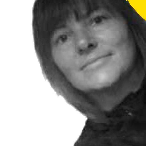 cropped-robin-yellow-transparent