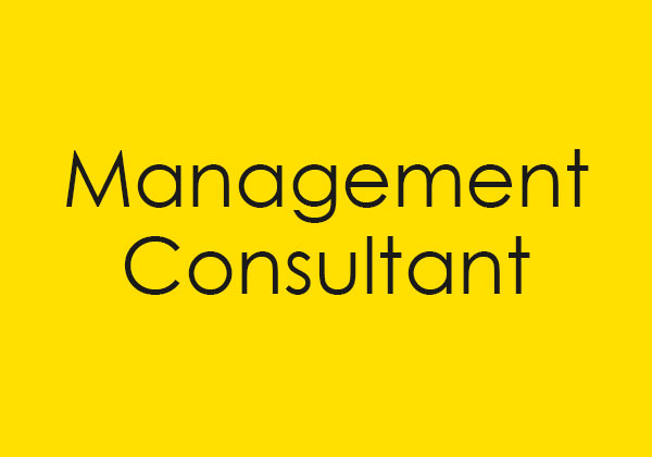 Link to Management Consultant site.