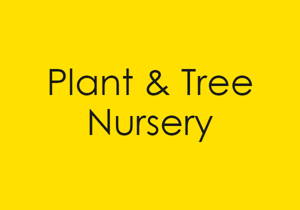 Link to Plant & Tree Nursery site.
